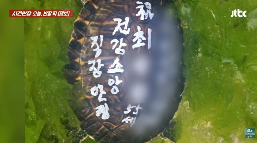 JTBC '사건반장'