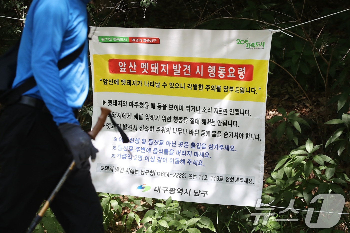 18일 오후 대구 남구 앞산 고산골 공룡공원 주변에 멧돼지 출현에 대비해 행동요령을 알리는 현수막이 걸려 있다. 2026.6.18 ⓒ 뉴스1 공정식 기자