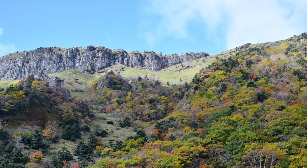 한라산 관음사 탐방로.(제주특별자치도 한라산국립공원관리소 홈페이지 갈무리)