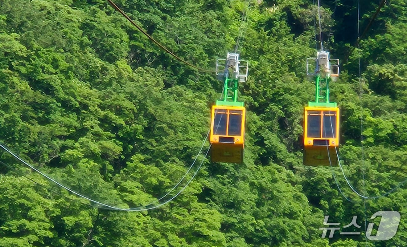 경북 울릉군 도동약수공원에서 망향봉 정상까지 488m를 왕복 운행하는 독도전망대케이블카가 한달간 안점검검을 마치고 운행을 재개했다.(울릉군 제공, 재판매 및 DB금지) 2026.6.2/뉴스1