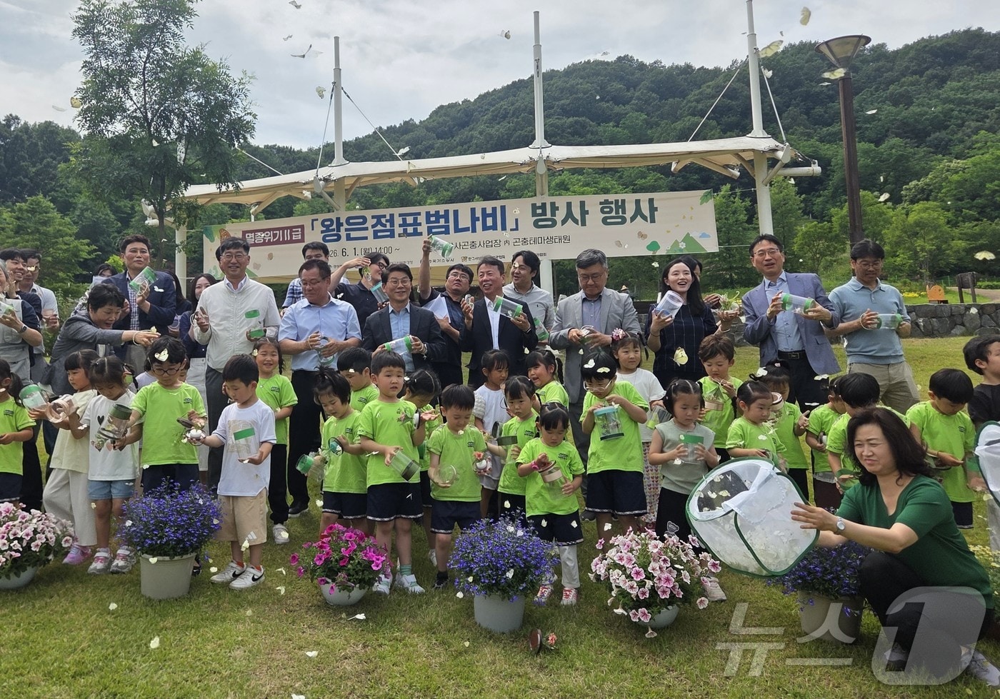 경북도 잠사곤충사업장은 2일 상주시 함창읍 곤충테마생태원에서 멸종위기 야생생물 Ⅱ급인 왕은점표범나비 방사 행사를 열었다. ⓒ 뉴스1 김대벽기자