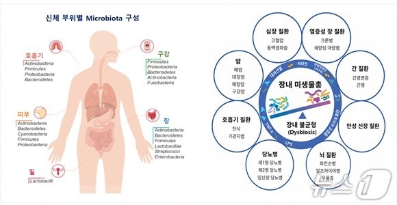 "한국형 인간 마이크로바이옴 연구 성과, 국제무대에 첫선" - 뉴스 썸네일 이미지