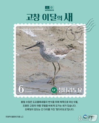 전북 고창군이 6월 이달의 새로 청다리도요를 선정했다.(고창군 제공. 재판매 및 DB금지)