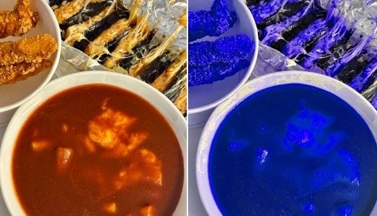 온라인 커뮤니티