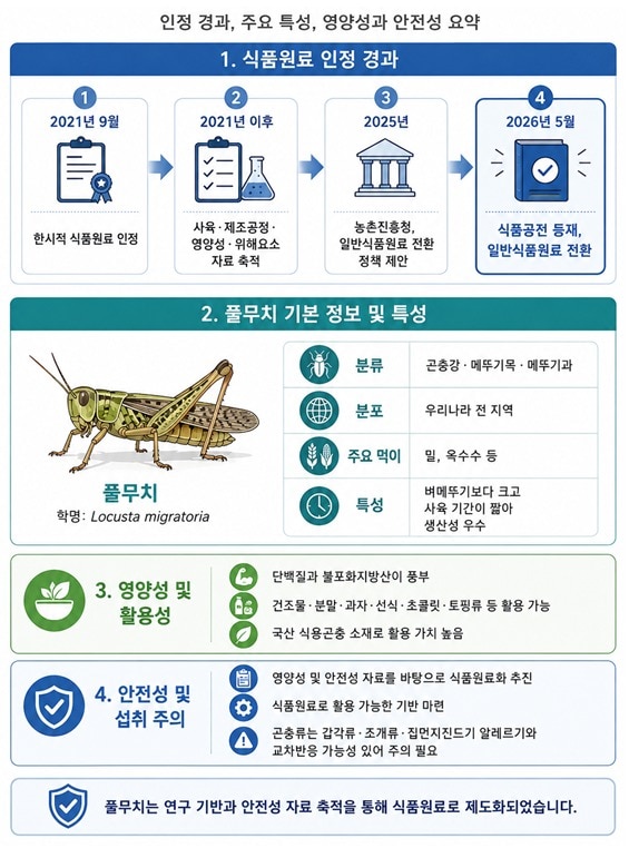 풀무치 식품원료 인정 경과 및 특성(농촌진흥청 제공. 재판매 및 DB금지) 2026.6.2 /뉴스1