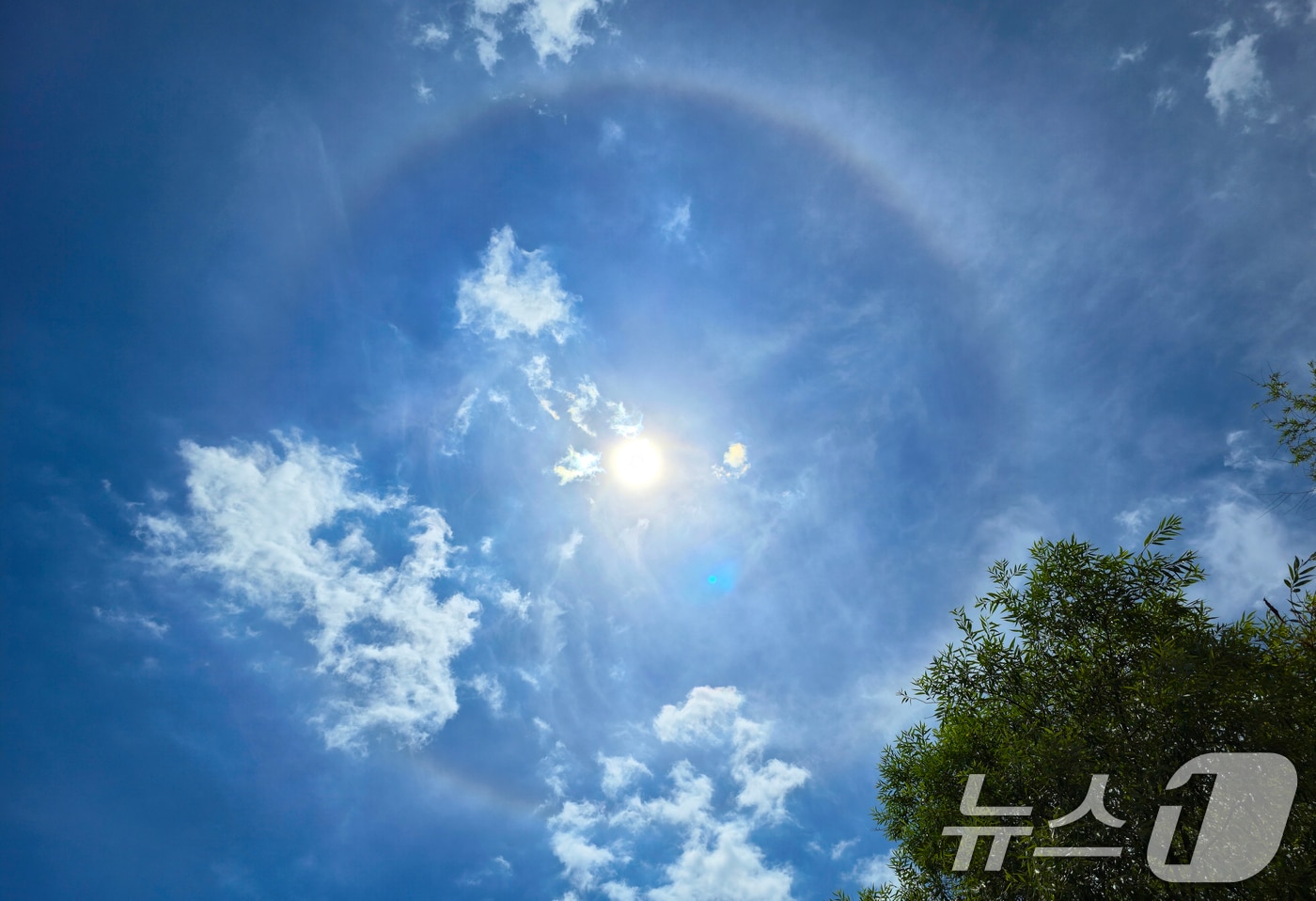 태양 ⓒ 뉴스1