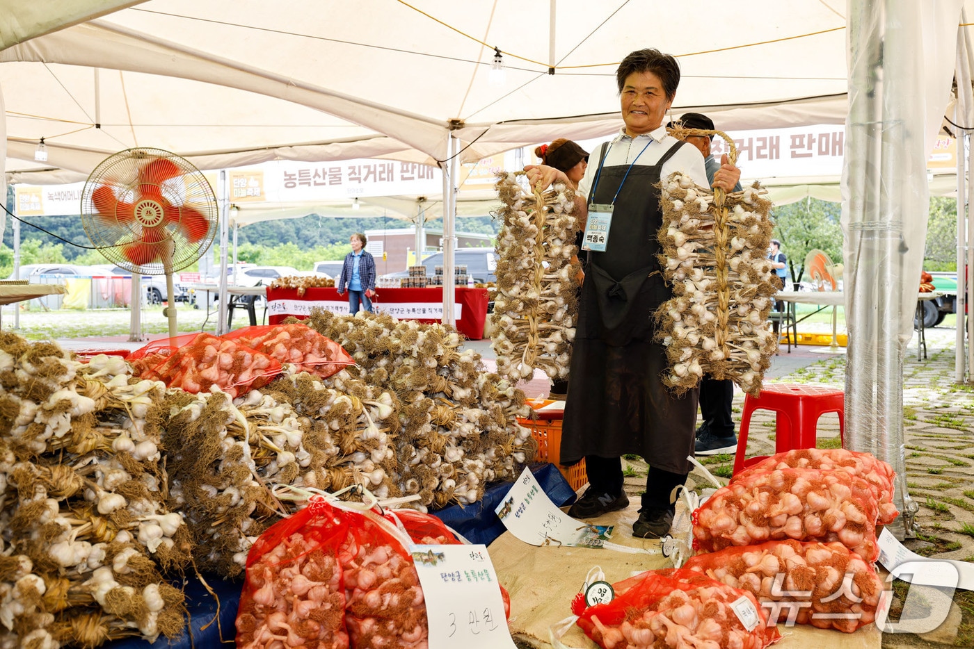 지난해 단양 마늘축제 현장.(단양군 제공. 재판매 및 DB금지)/뉴스1