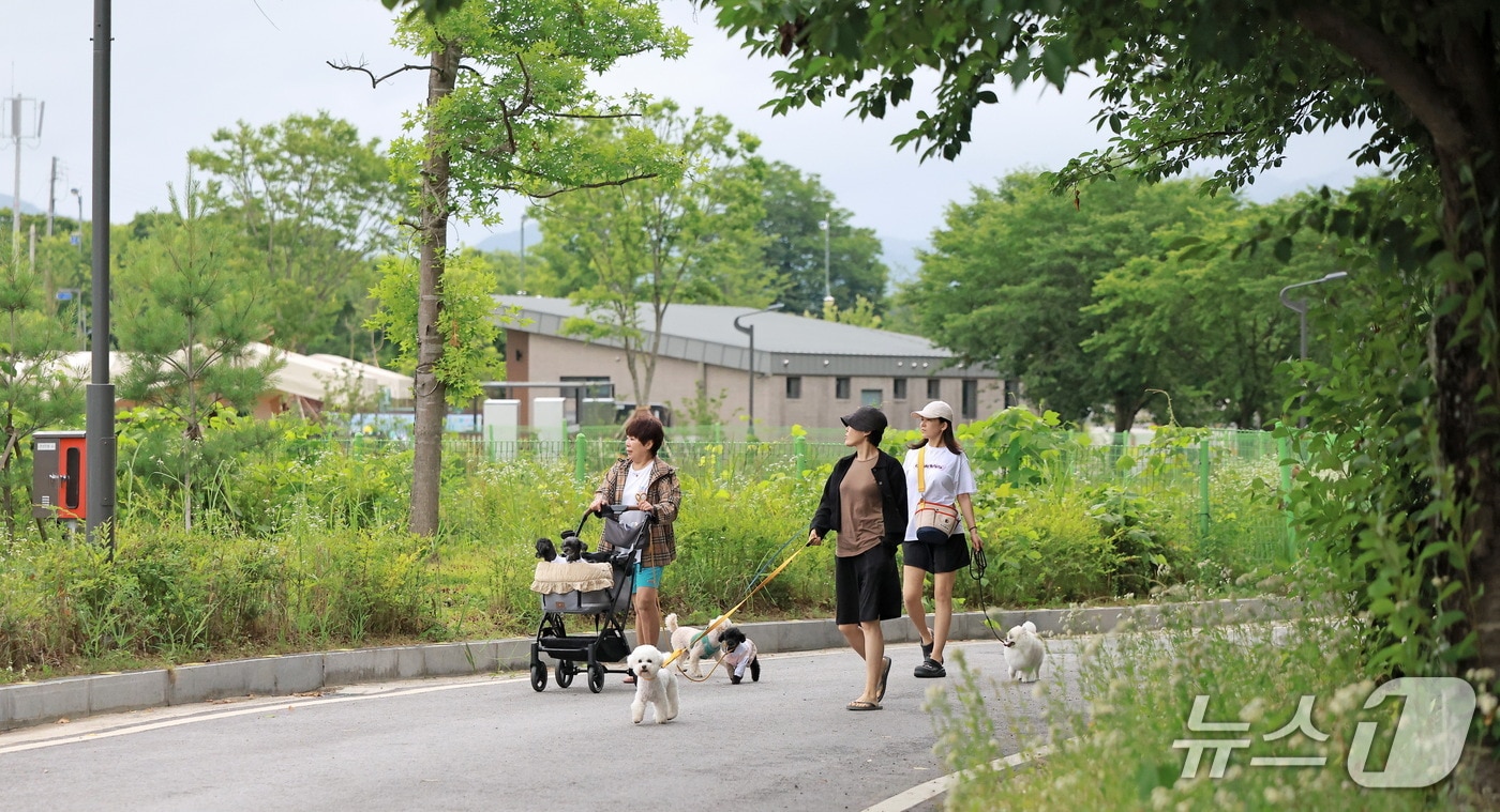 전북 임실군이 지난 20~21일 오수의견 국민여가캠핑장을 중심으로 반려인과 반려견이 함께 즐기는 체류형 관광 프로그램인 '임실 댕댕캠핑'을 운영했다.(임실군제공, 재판매 및 DB금지)2026.6.22/뉴스1