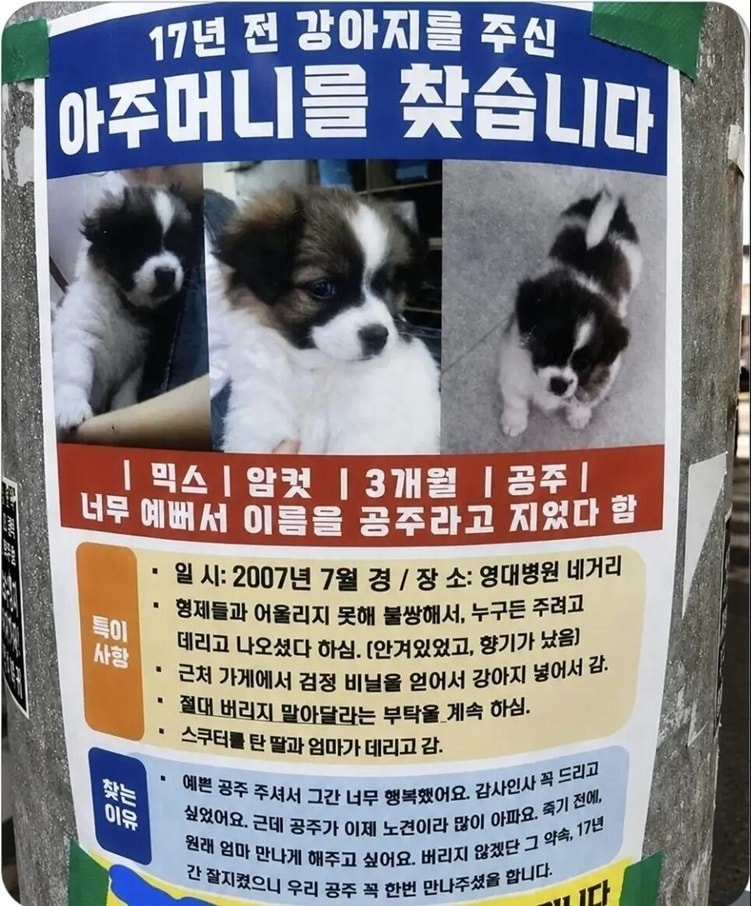 온라인 커뮤니티