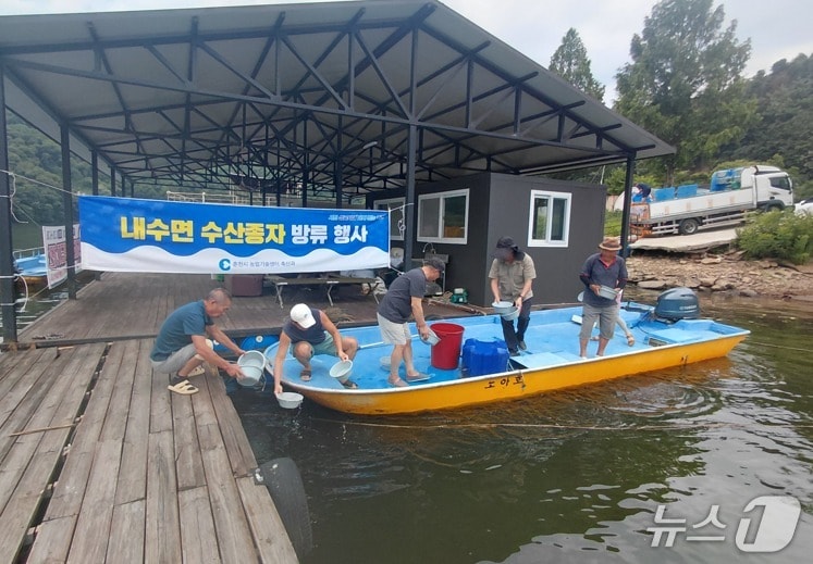 춘천시, 홍천강 일원 동자개 방류 현장.(춘천시 제공, 재판매 및 DB금지)