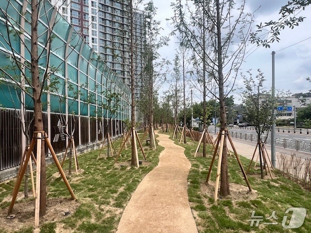  단재로 연결 숲.(청주시 제공. 재판매 및 DB금지)
