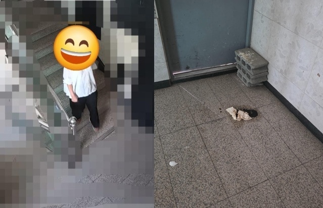보배드림 갈무리