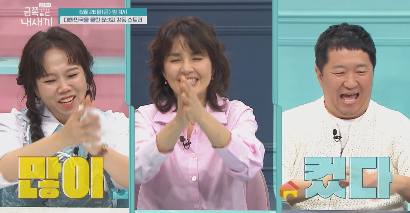 채널A '금쪽같은 내 새끼'
