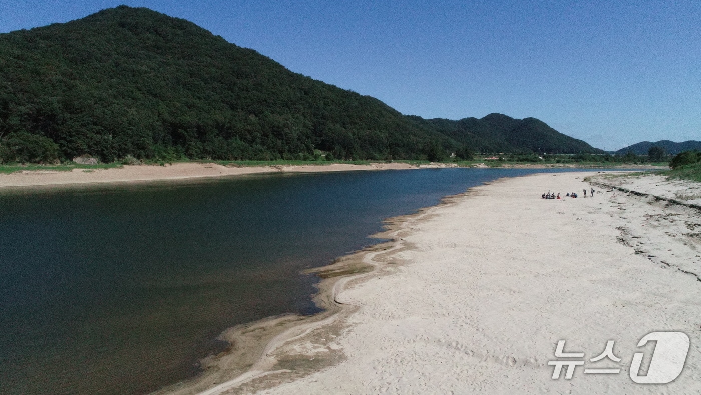 충남 공주 고마나루 모습.(환경단체 제공. 재판매 및 DB금지)/뉴스1
