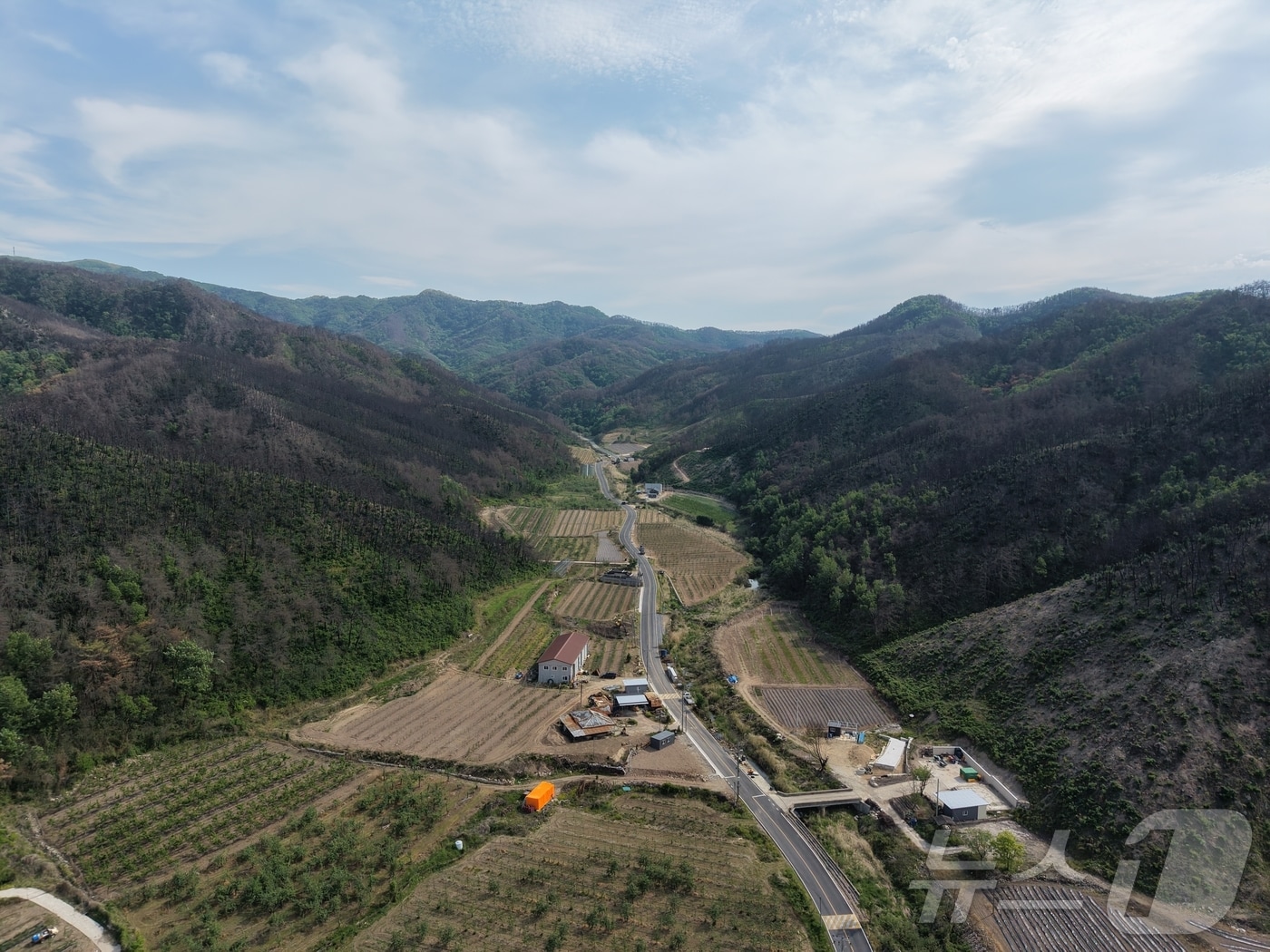 경북도는 29일 안동시 길안면 백자리 산45번지 일원을 제2호 산림경영특구로 지정·고시했다. /뉴스1