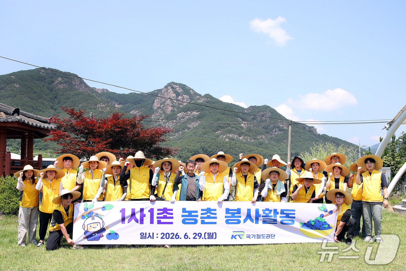 국가철도공단은 충북 영동군 금강모치마을을 찾아 농번기 농촌 일손 돕기 봉사활동을 했다. (국가철도공단 제공.재판매 및 DB금지)/뉴스1