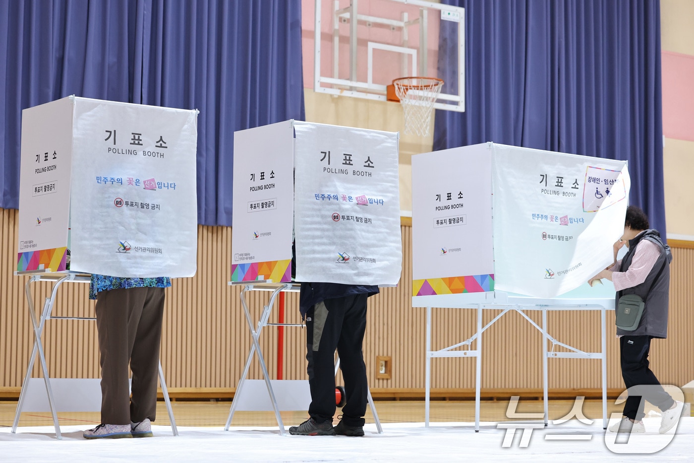 제9회 전국동시지방선거 및 국회의원 재·보궐 선거 시작된 3일 충남 보령시 대천여자고등학교에 마련된 투표소에서 유권자들이 투표하고 있다. 2026.6.3 ⓒ 뉴스1 신웅수 기자