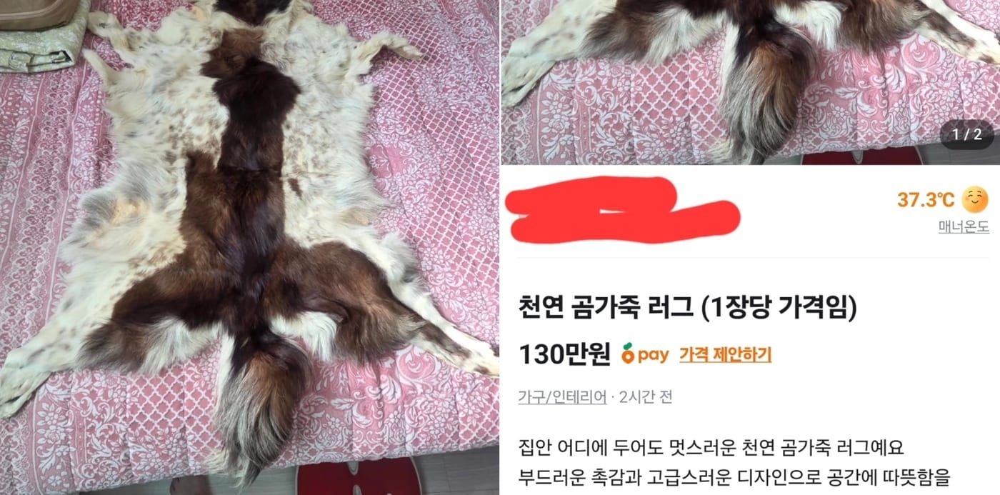 스레드 (당근)
