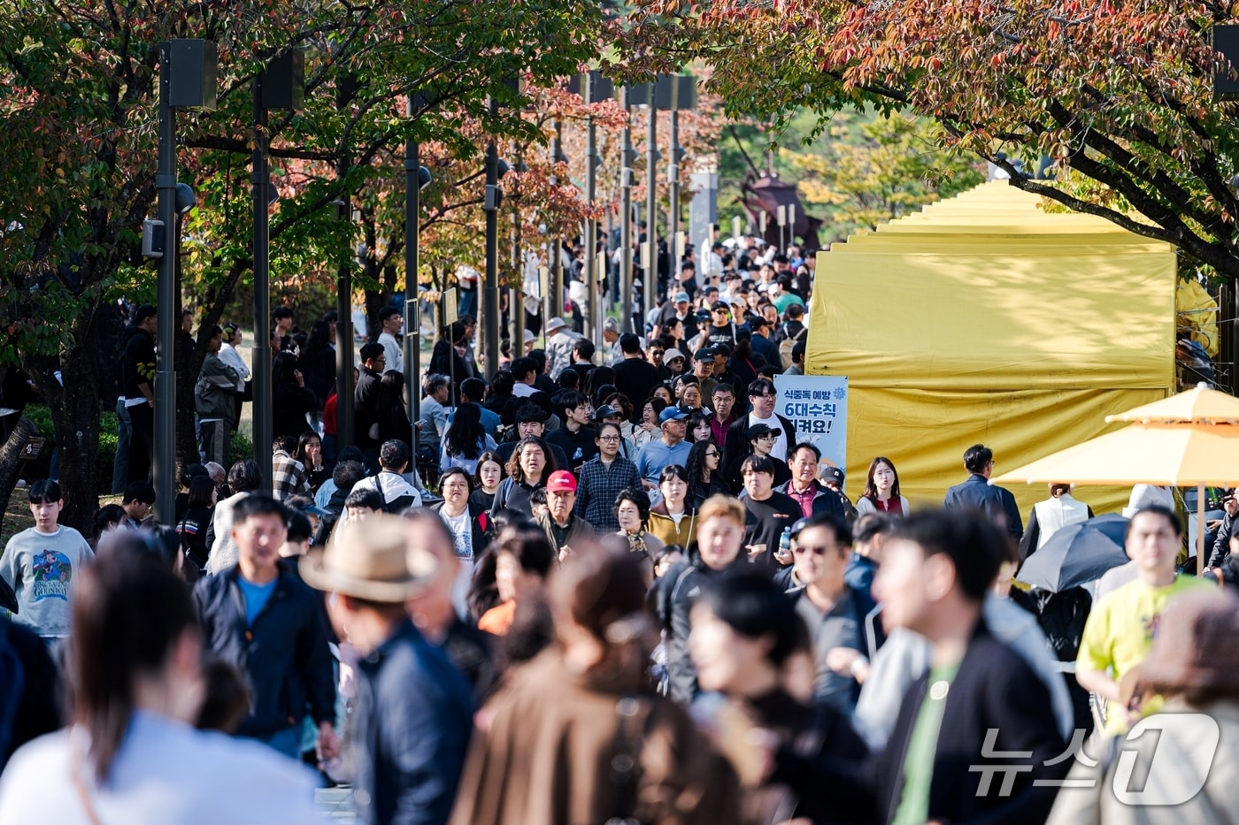 김천 김밥축제 모습(김천시 제공. 재판매 및 DB금지)/뉴스1