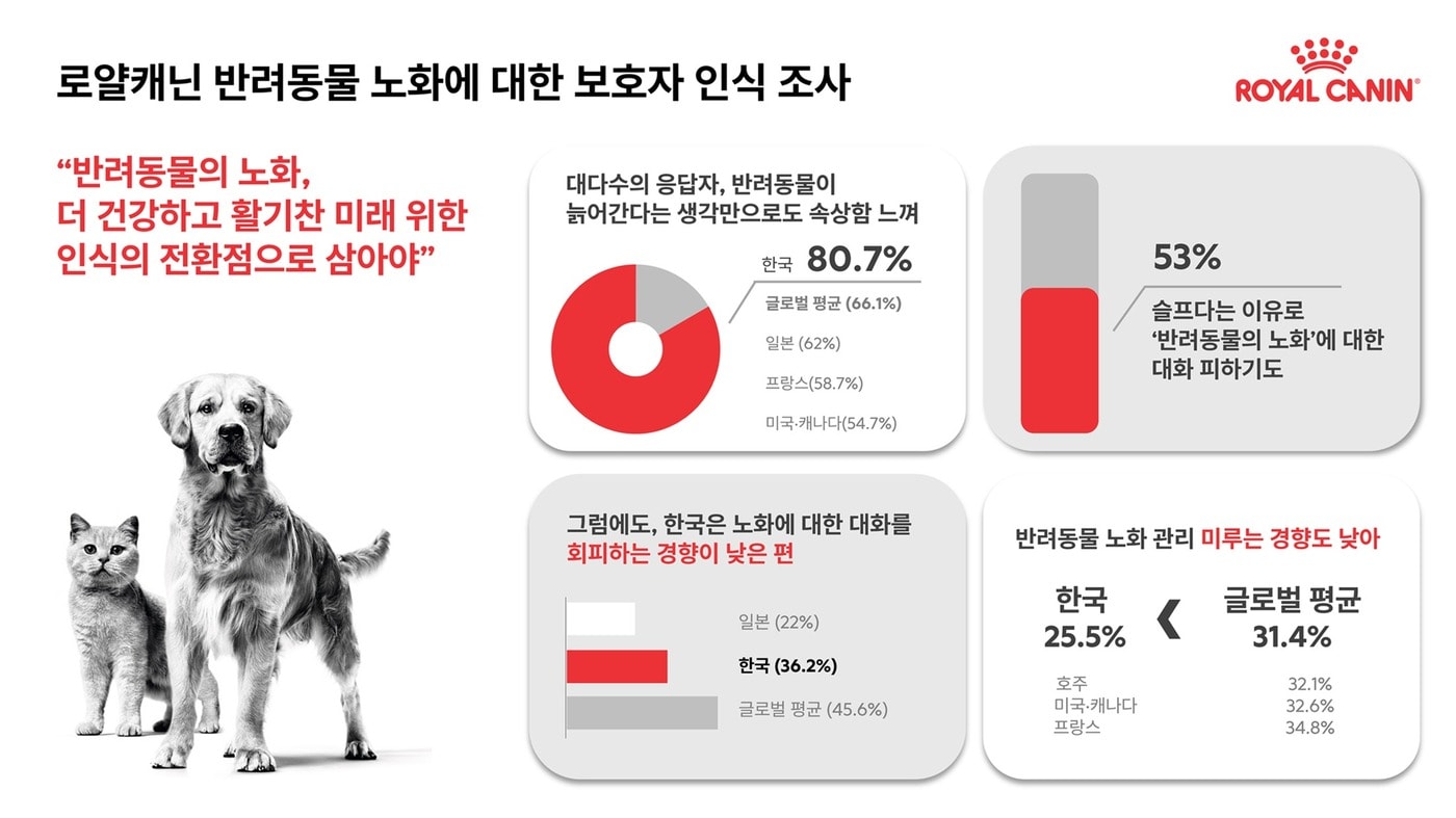 [100세건강 특별편] 반려동물 건강한 노화, 사람 정서적 안정에 도움 - 뉴스 썸네일 이미지