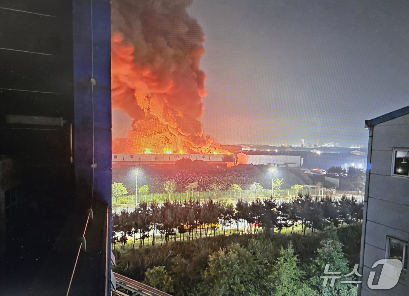 4일 오전 2시 41분께 군산시 오식도동의 한 폐목재 가공 공장에서 불이 나 소방 당국이 12시간째 진화 작업을 벌이고 있다.(전북소방본부 제공. 재판매 및 DB금지)