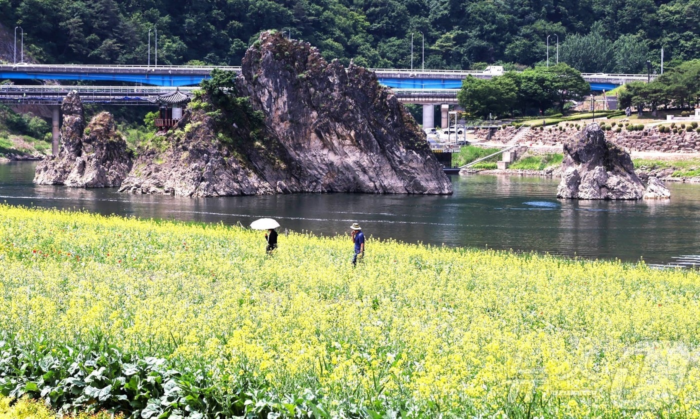 낮 최고 30도 초여름 더위 예보