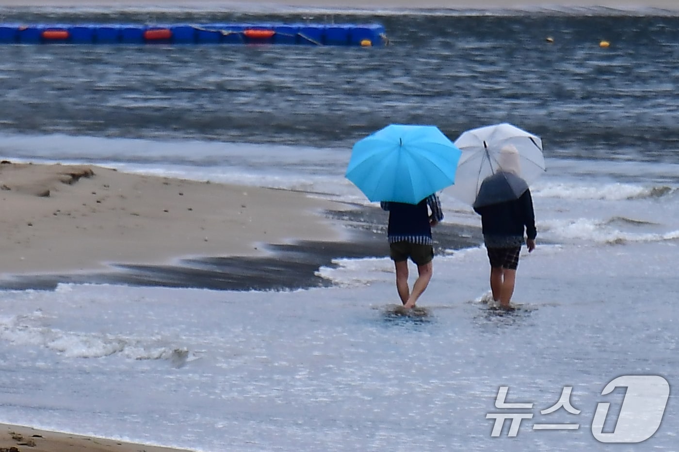경북 포항시 북구 영일대해수욕장에서 우산을 쓴 시민이 맨발 걷기를 하고 있다. 2026.6.8 ⓒ 뉴스1 최창호 기자