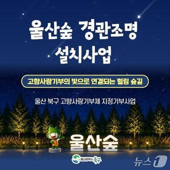 울산숲 경관조명 설치사업 포스터.(울산 북구 제공. 재판매 및 DB금지)/뉴스1