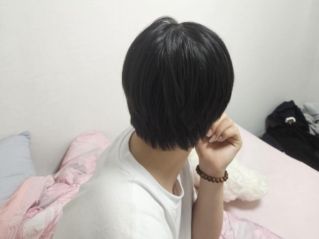 보배드림