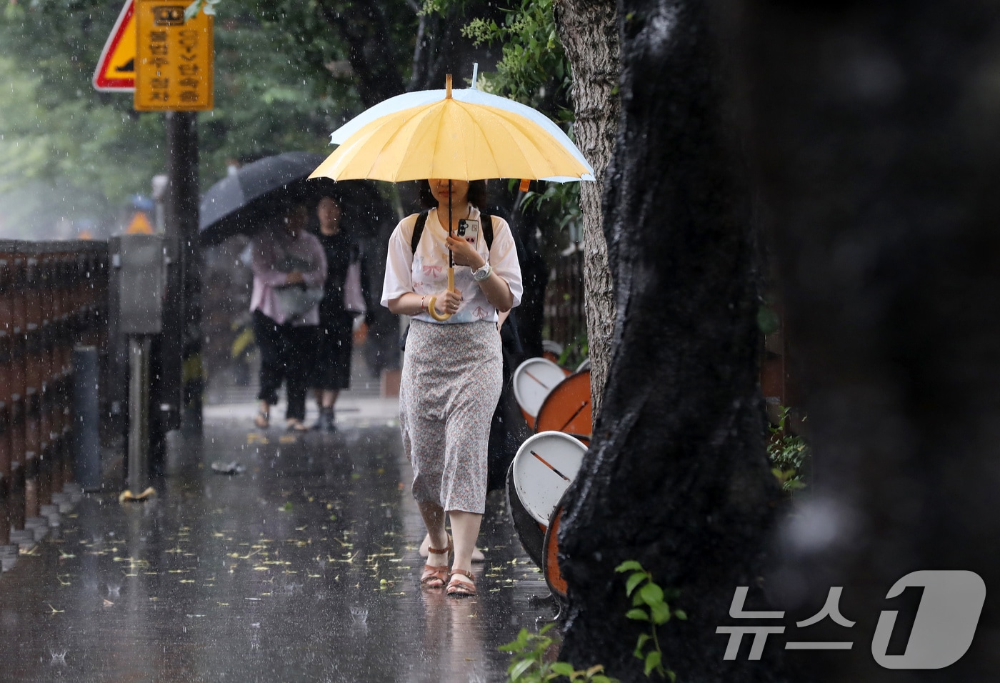 지난 1일 부산 동래구 온천천 인근에서 우산을 쓴 시민들이 발걸음을 옮기고 있다. 2026.7.1 ⓒ 뉴스1 윤일지 기자