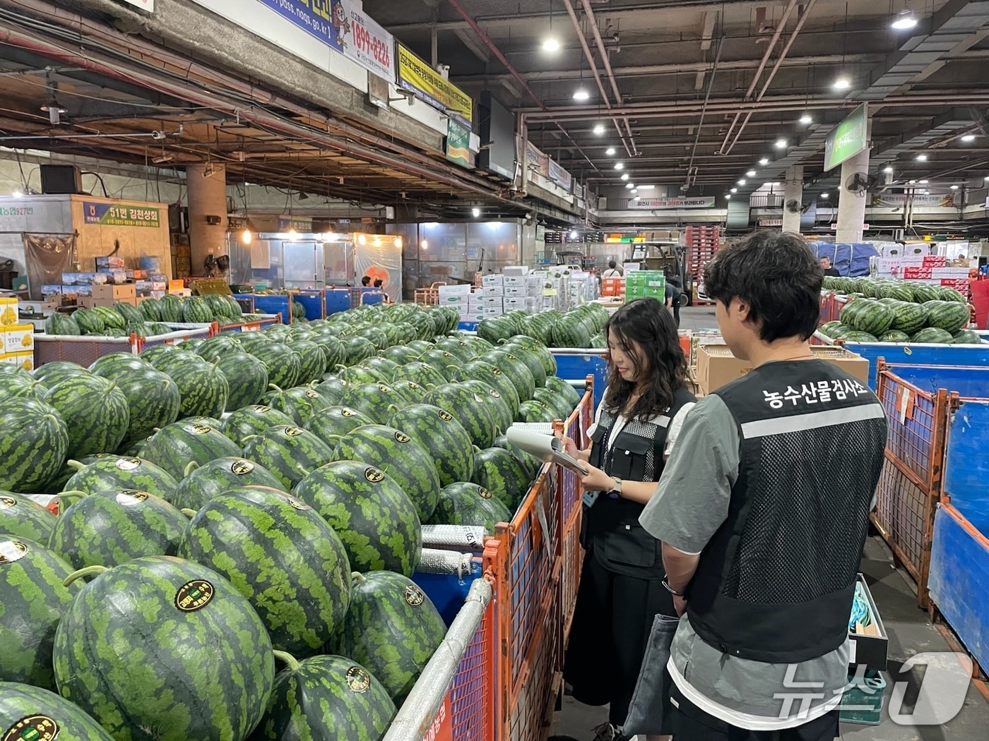대구시 보건환경연구원은 여름 휴가철을 맞아 13일부터 24일까지 다소비 농산물에 대한 안전성 조사를 실시한다. (대구시 제공. 재판매 및 DB 금지)/뉴스1