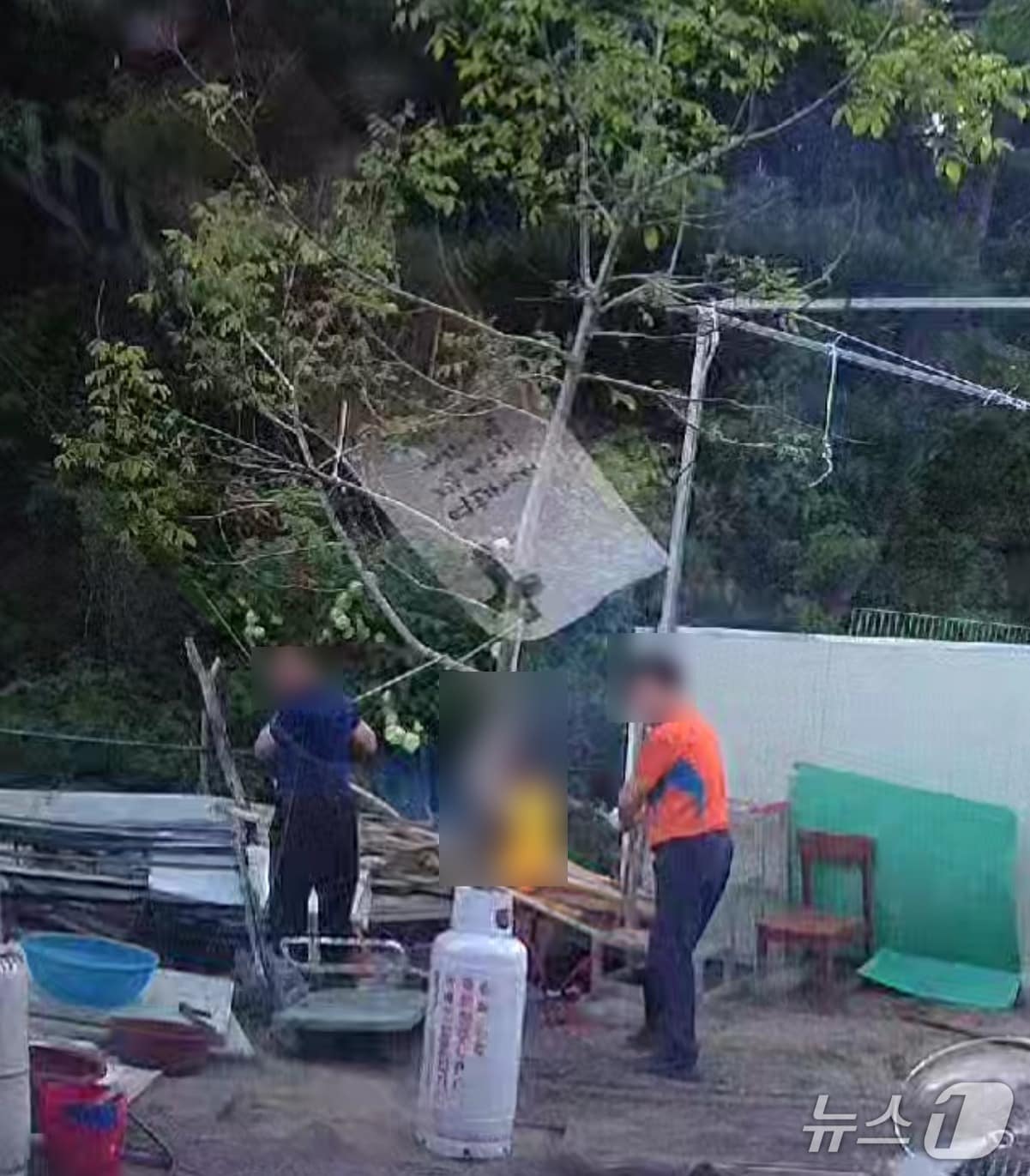 동물학대 현장 모습.(도로시지켜줄개 제공. 재판매 및 DB금지)/뉴스1