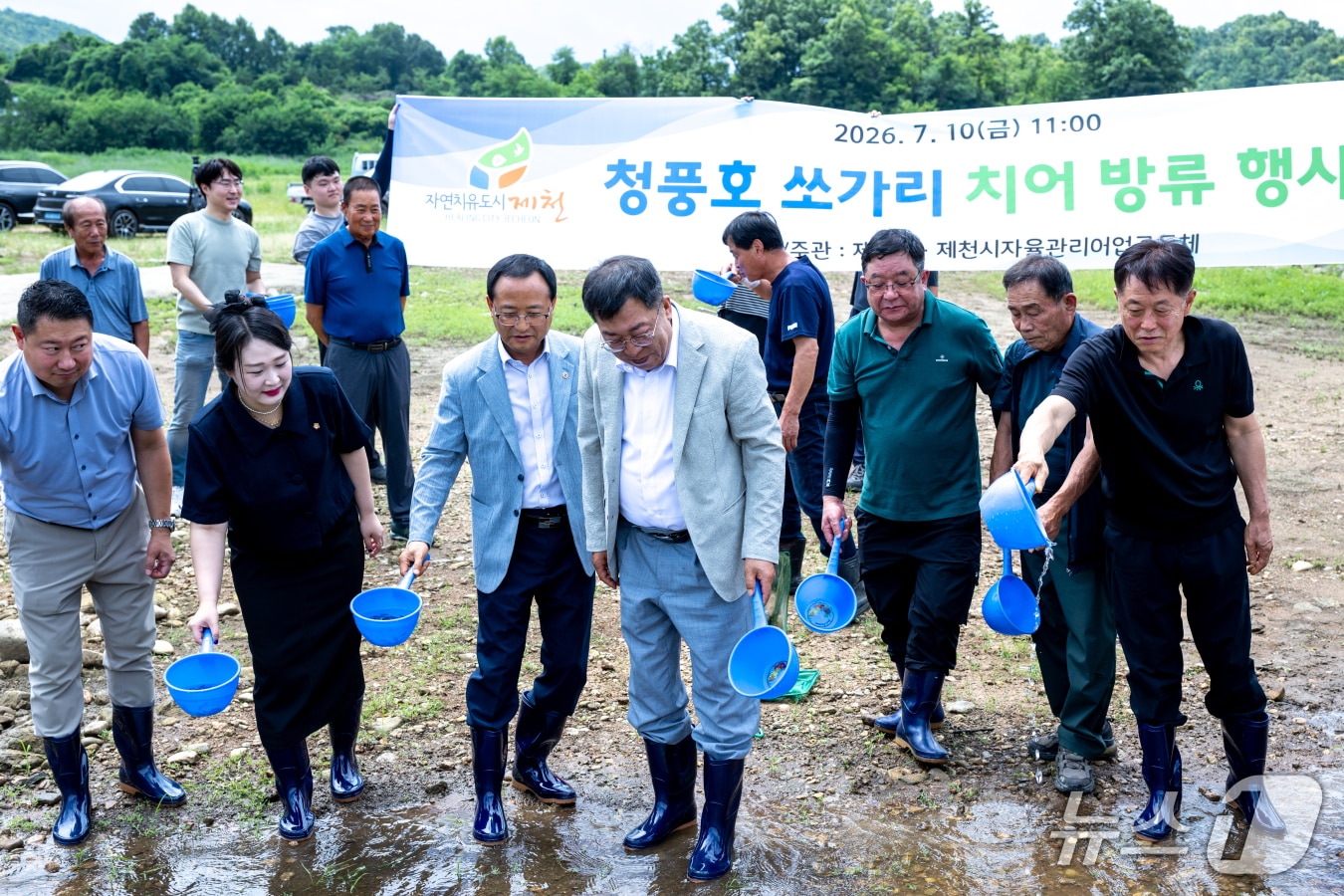 제천시 청풍호에 방류되는 쏘가리 치어.(제천시 제공. 재판매 및 DB금지)/뉴스1
