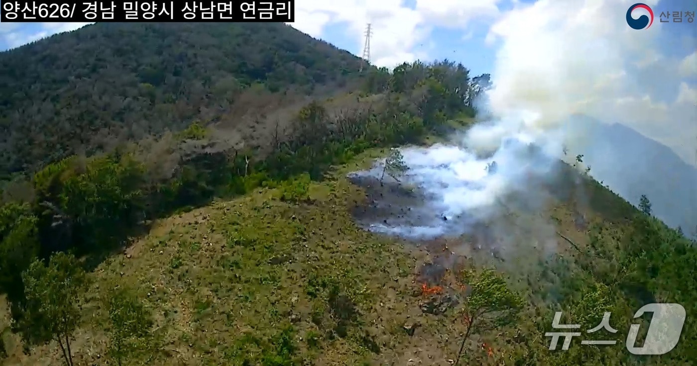 밀양 상남면 연금리 산불 현장.(산림청 제공. 재판매 및 DB금지)