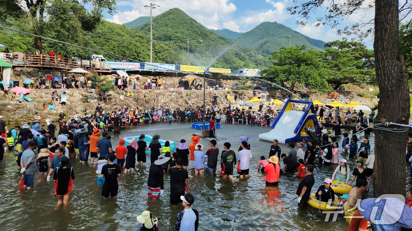 지난해 단양군 영춘면 남천계곡 물놀이 축제. (단양군 제공. 재판매 및 DB금지)/뉴스1 