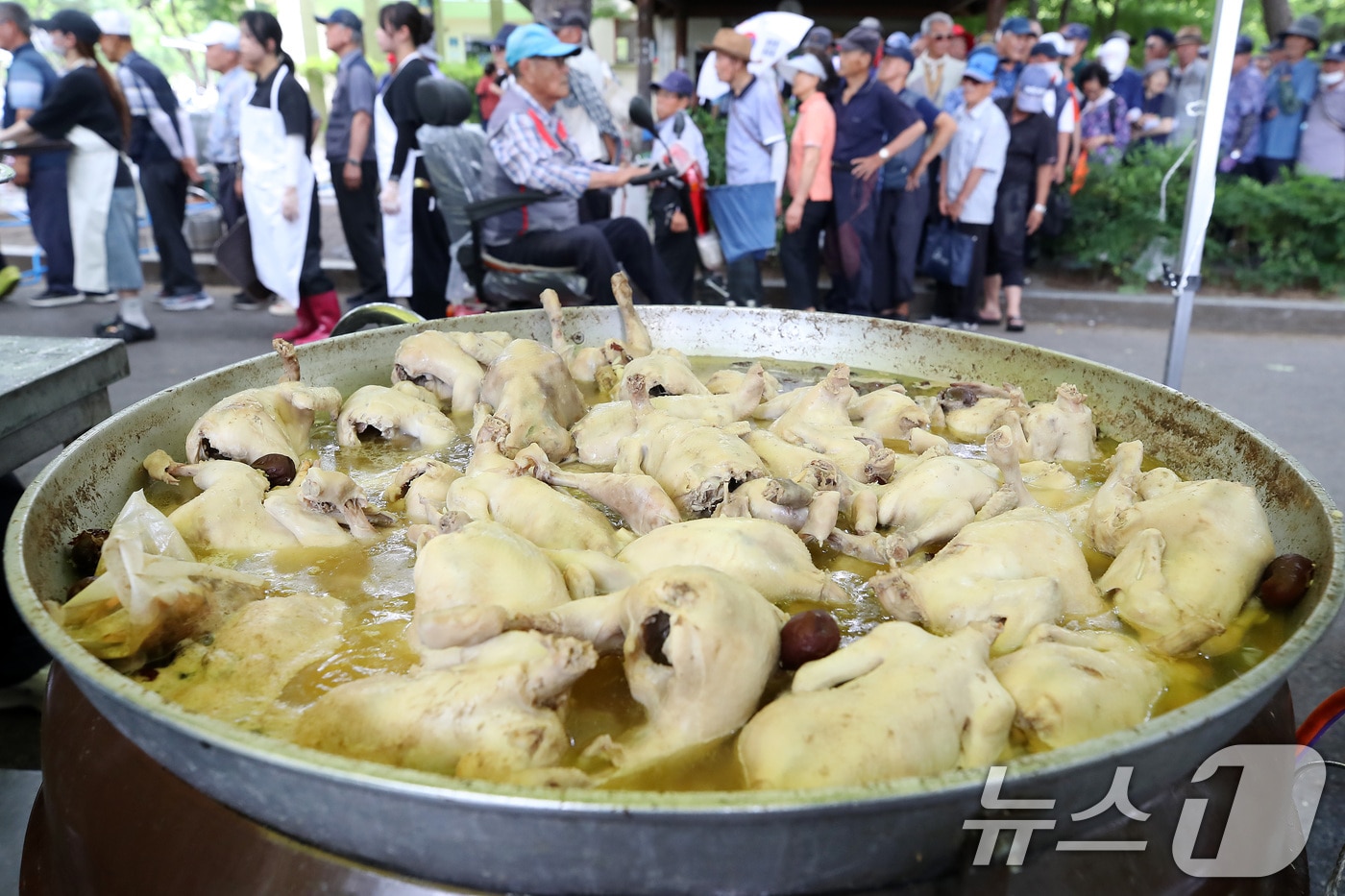 삼복더위의 시작을 알리는 초복을 하루 앞둔 14일 대구 달서구 두류공원 사랑해밥차 무료급식소에서 삼계탕을 점심으로 제공하자 시민들이 줄지어 배식을 받고 있다. 급식소 측은 대형 솥 6개에 초복맞이 복달임 삼계탕 1500인분을 끓여 나눠줬다. 2026.7.14 ⓒ 뉴스1 공정식 기자