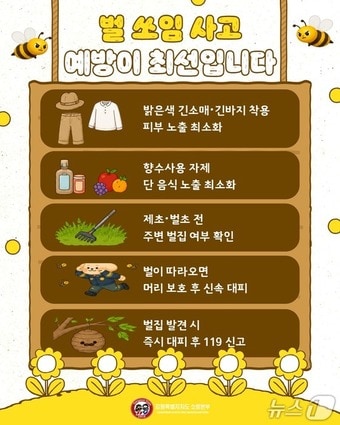 강원도소방본부, 벌 쏘임 사고 당부 포스터.(강원소방본부 제공, 재판매 및 DB금지)