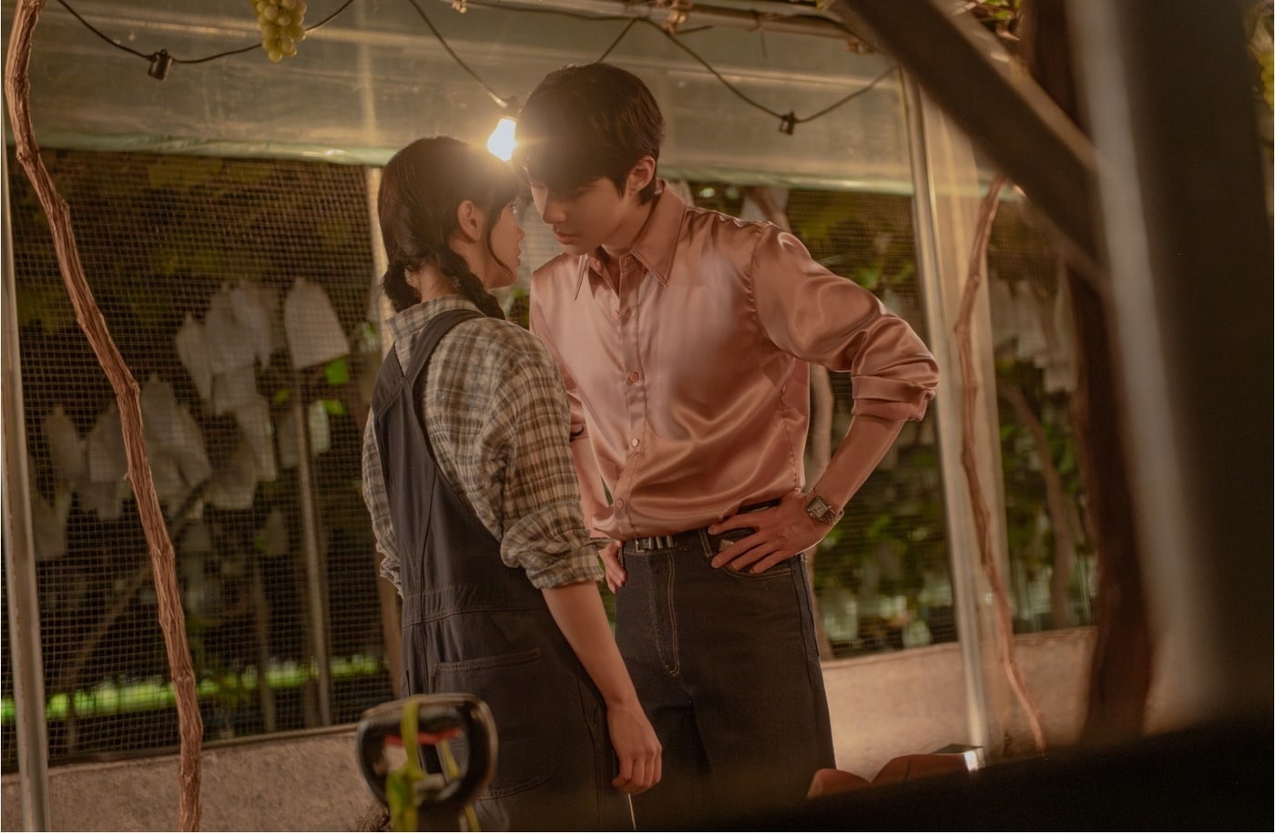 KT스튜디오지니