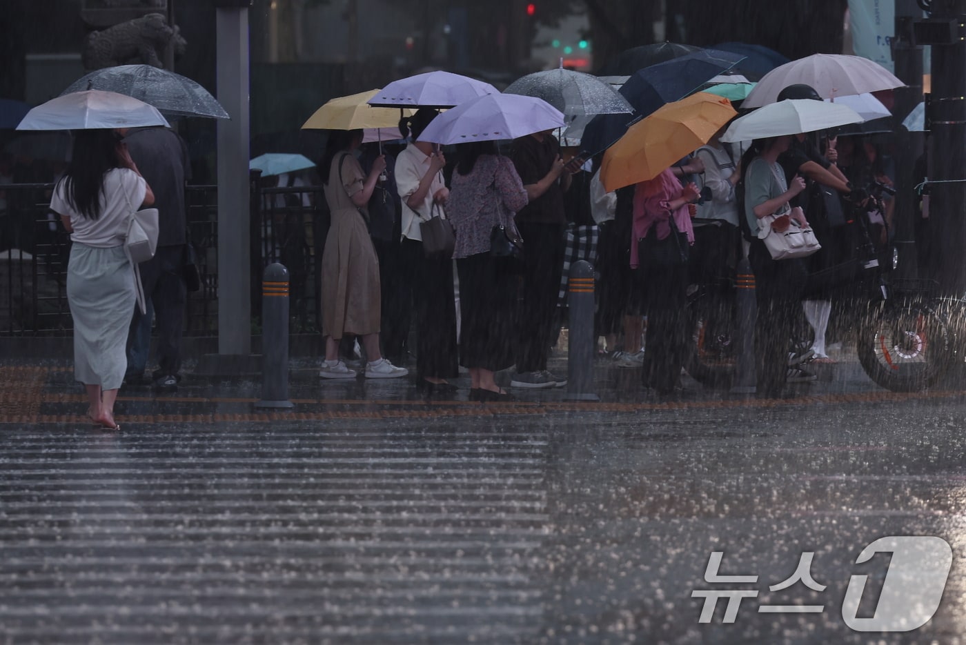 자료사진./뉴스1