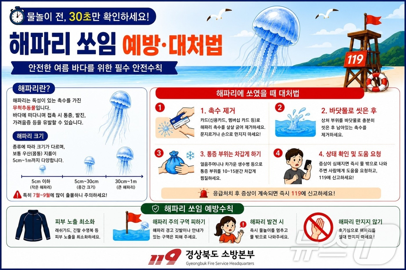 경북도가 여름철 수상·폭염·해파리 사고 예방을 위해 안전지킴이 422명을 배치한다. /뉴스1