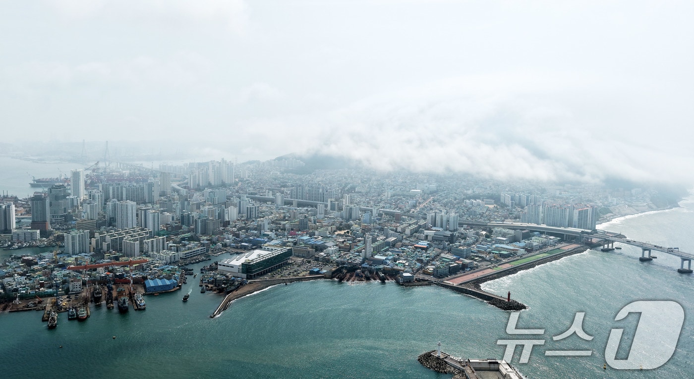 지난 15일 부산 영도구 봉래산 일대에 짙은 해무(바다 안개)가 뒤덮여 이색적인 풍경을 연출하고 있다. 2026.7.15 ⓒ 뉴스1 윤일지 기자