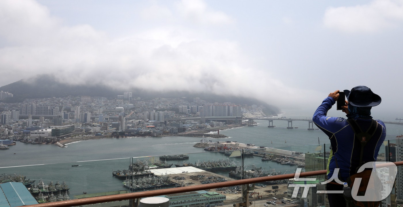 부산 영도구 봉래산 일대에 짙은 해무(바다 안개)가 뒤덮여 이색적인 풍경을 연출하고 있다. 2026.7.15 ⓒ 뉴스1 윤일지 기자