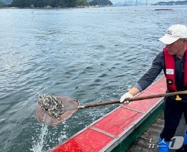 지난 9일 진행된 조피볼락 종자 방류 모습 (공단 제공. 재판매 및 DB금지)