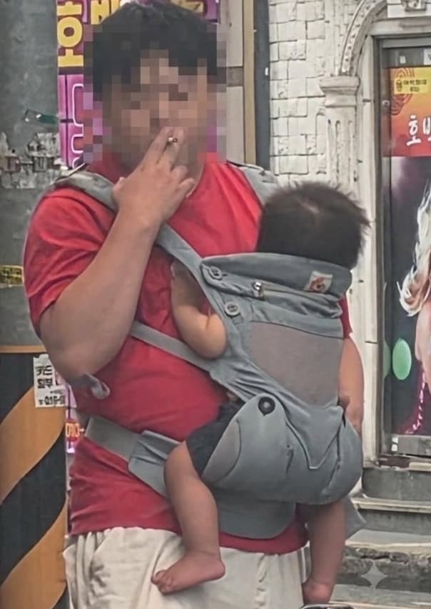 보배드림