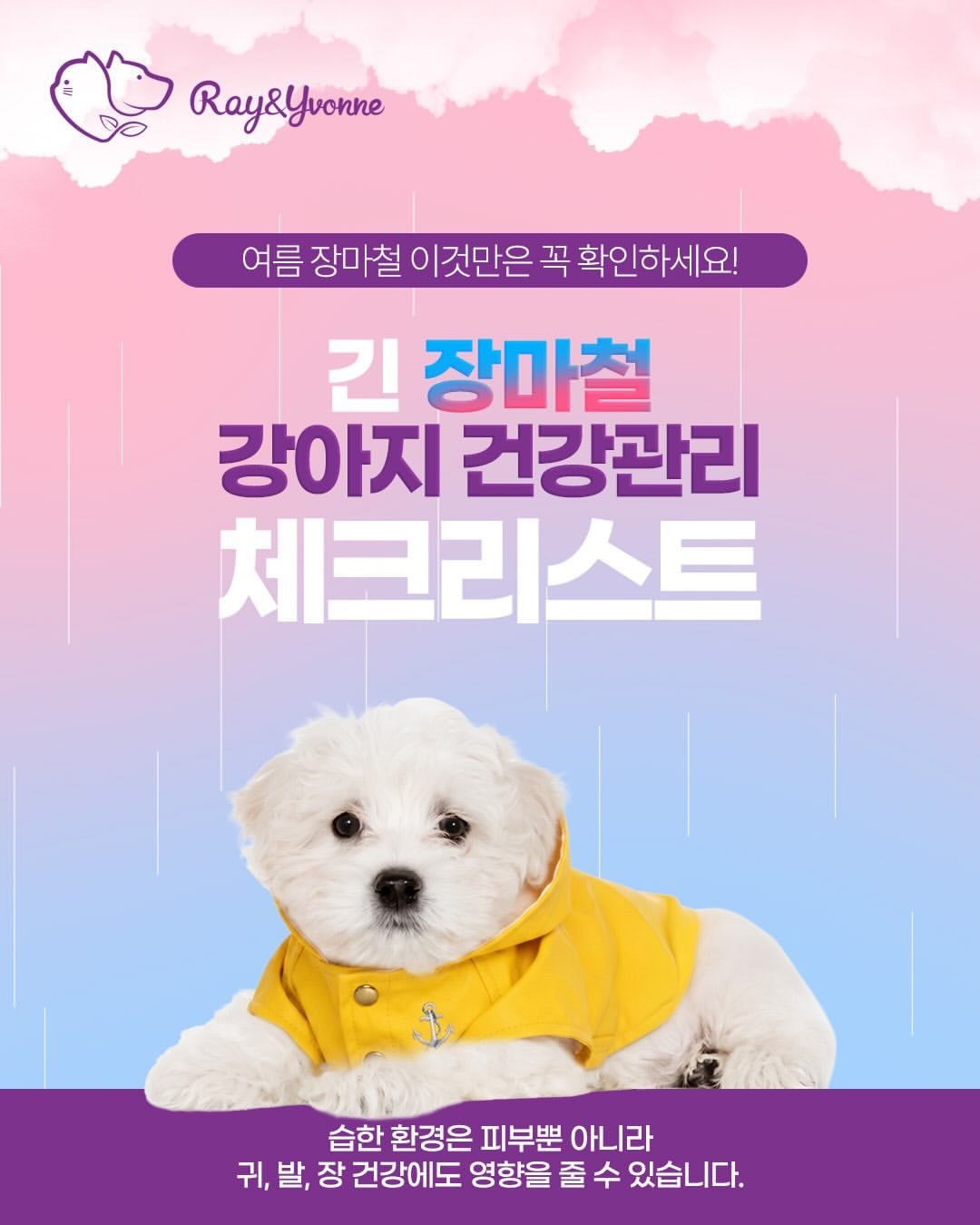 반려견 피부 건강도 '먹는 관리' 시대...장마철 영양관리법 - 뉴스 썸네일 이미지
