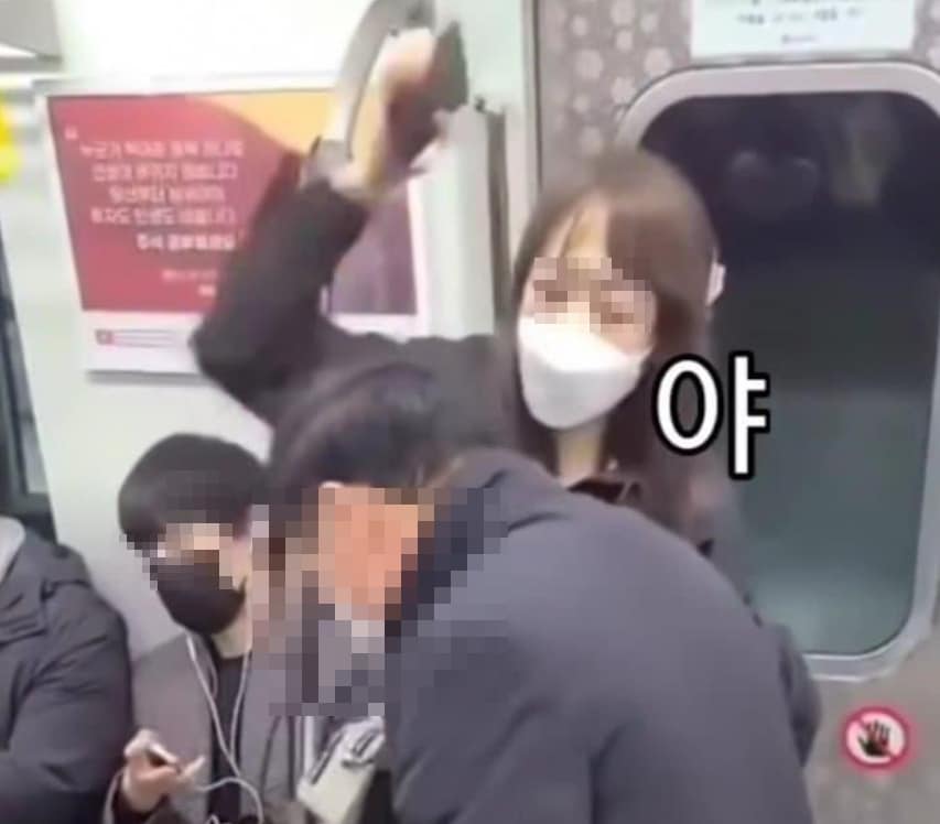 보배드림