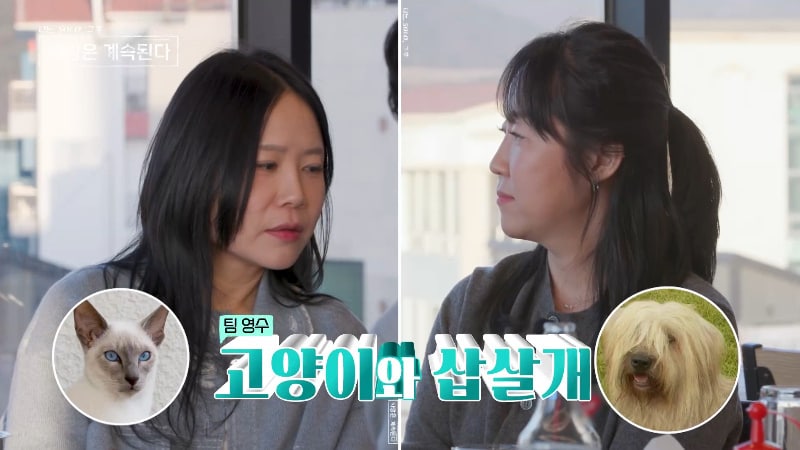 ENA, SBS플러스