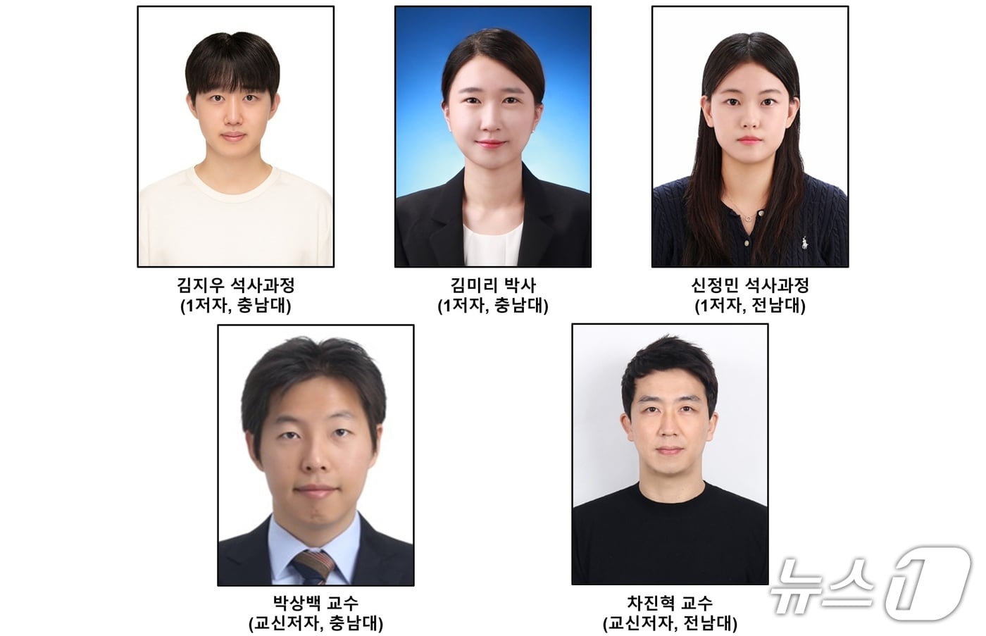 무음극 리튬금속전지 안정성·수명 높이는 기술 개발 - 뉴스 썸네일 이미지