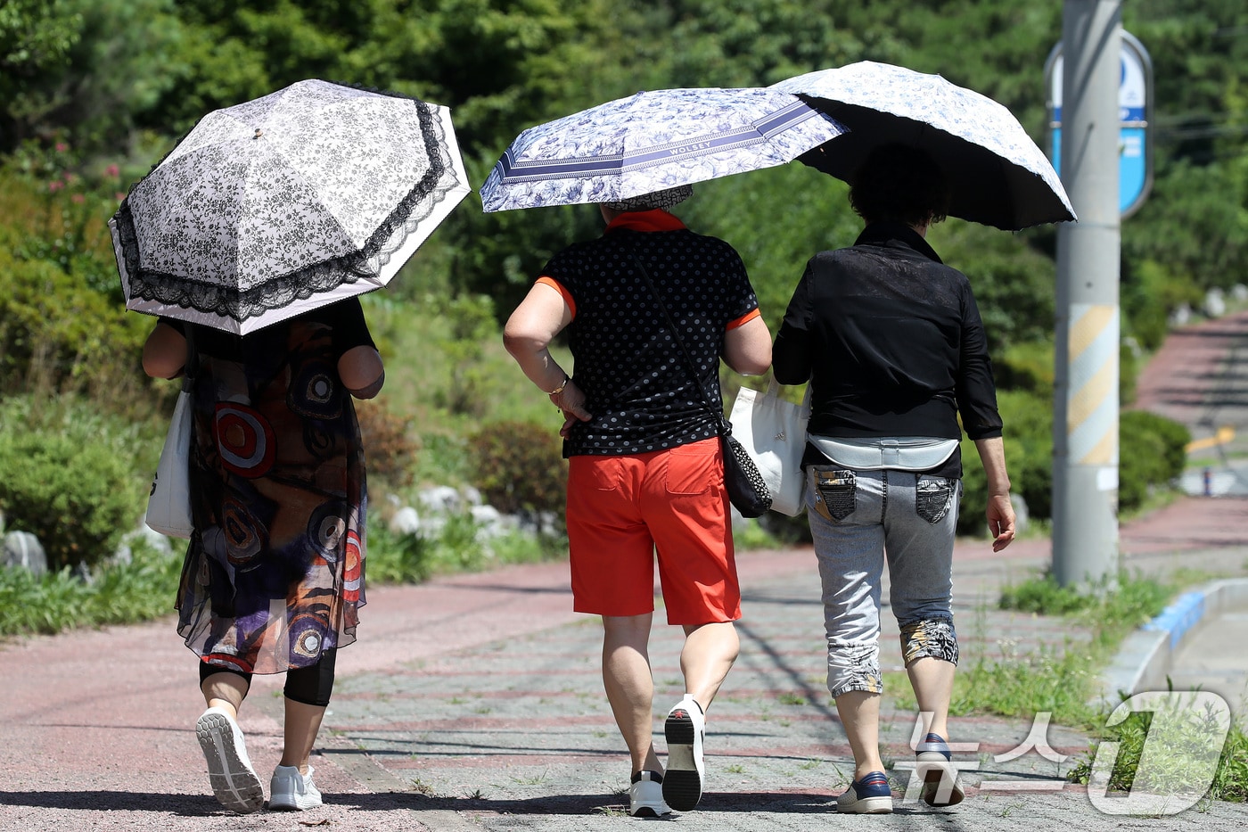 경북 경산 도심에서 시민들이 나란히 양산을 펼쳐 뙤약볕을 가린 채 발걸음을 옮기고 있다. 2026.7.20 ⓒ 뉴스1 공정식 기자