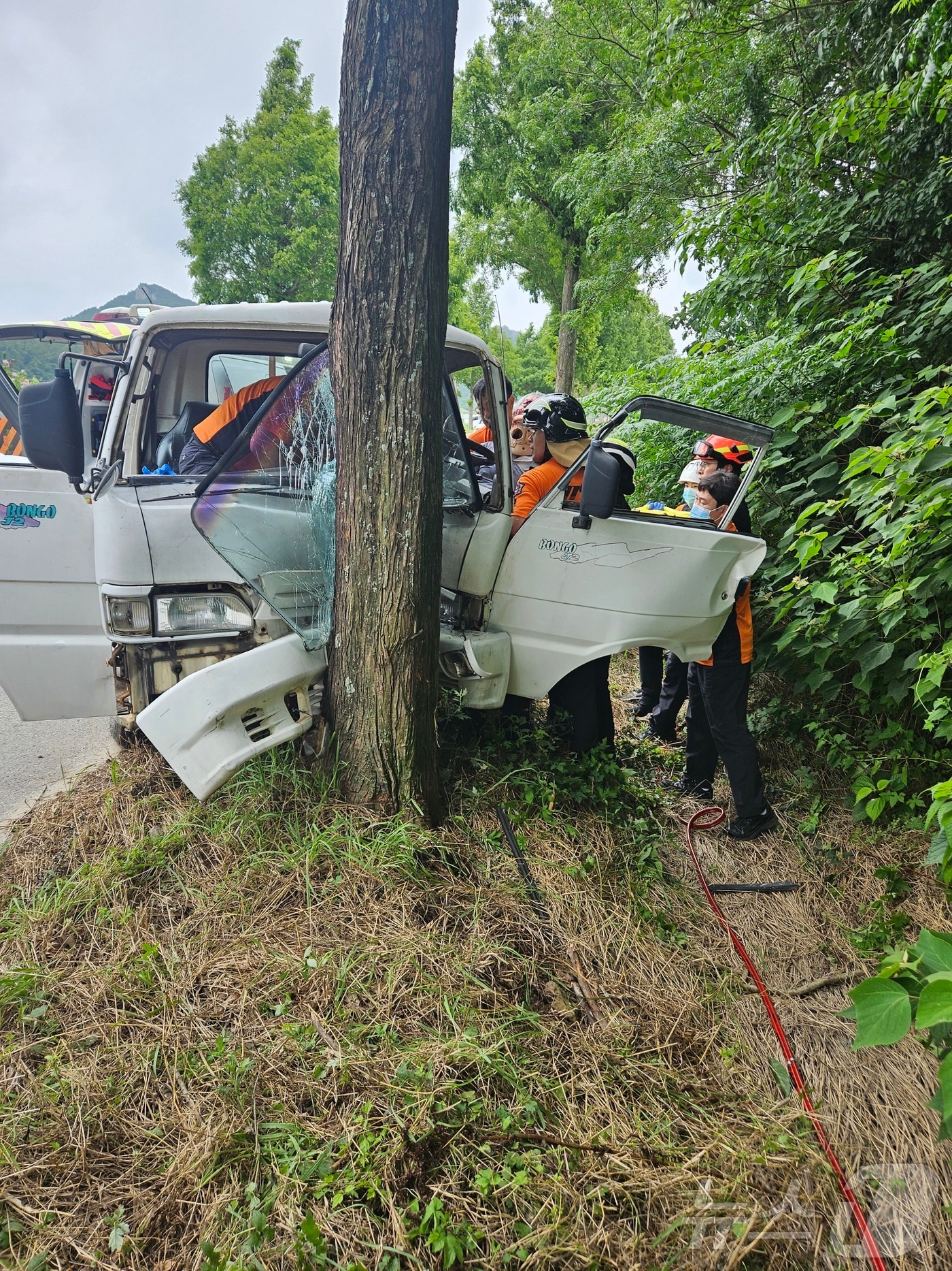 21일 오전 11시 20분쯤 전남광주 진도군 지산면 한 도로에서 차량이 도로 옆 나무와 충돌해 소방당국이 구조하고 있다.(전남광주소방본부 제공. 재판매 및 DB금지)